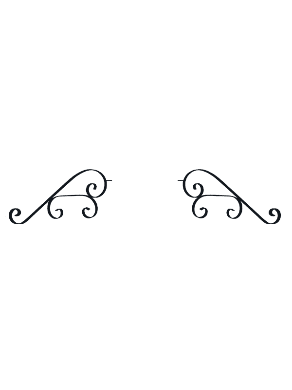 Fancy Moustache — wall mount & moustache accessory for CopperSmith copper lanterns